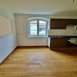 Rent 1 bedroom apartment in Rittershoffen