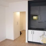 Rent 1 bedroom apartment in Capital City of Prague