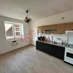 Rent 1 bedroom apartment in Svitavy