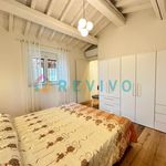 Rent 4 bedroom house of 100 m² in Florence