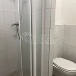 Rent 2 bedroom apartment in Nový Jičín