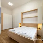 Pronajměte si 2 ložnic/e byt o rozloze 40 m² v Prague