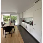 Rent 3 bedroom apartment in Zurich