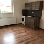 Rent 1 bedroom apartment in Teplice