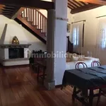 Rent 5 bedroom apartment of 120 m² in Padua