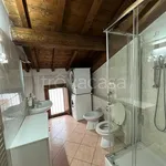 Rent 2 bedroom apartment of 60 m² in Roncoferraro