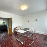 Rent 3 bedroom apartment of 130 m² in Prague