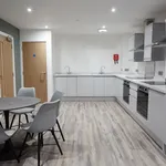 Rent 8 bedroom apartment in Worcester