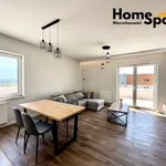 Rent 3 bedroom apartment of 63 m² in Rzeszów