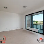 Rent 1 bedroom apartment of 54 m² in Pilsen