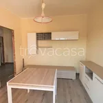 Rent 3 bedroom apartment of 55 m² in Biella