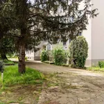 Rent 2 bedroom apartment of 70 m² in Milano