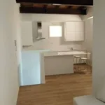 Rent 2 bedroom apartment of 47 m² in Bologna