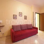 Rent 2 bedroom apartment of 60 m² in Trapani