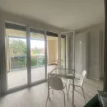 Rent 1 bedroom apartment of 38 m² in Bologna