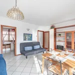 Rent 1 bedroom apartment in Bologna