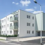 Miete 2 Schlafzimmer wohnung von 59 m² in Waldegg