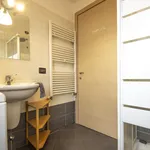 Rent 1 bedroom apartment in Milano