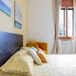 Rent a room in padua