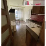 Rent 3 bedroom apartment of 66 m² in Prague