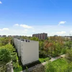 Rent 3 bedroom apartment of 73 m² in Warszawa