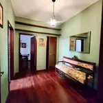 Rent 3 bedroom apartment of 93 m² in Bologna