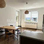 Rent 3 bedroom apartment of 60 m² in Katowice