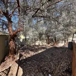 Rent 3 bedroom house in Roxby Downs