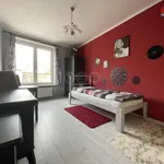 Rent 1 bedroom apartment of 23 m² in Brno