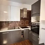 Rent 1 bedroom apartment of 57 m² in Busto Arsizio