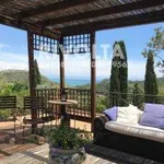 Rent 8 bedroom house of 250 m² in Monte Argentario