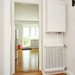 Rent 1 bedroom apartment in Oslo