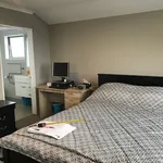 Rent 4 bedroom house in Christchurch