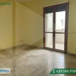 Rent 3 bedroom apartment of 85 m² in Bari