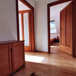 Pronájem domu 80m² s pozemkem 1823m²