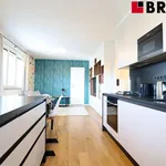 Pronajměte si 3 ložnic/e byt o rozloze 55 m² v Brno