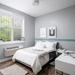 Rent 1 bedroom apartment in New York