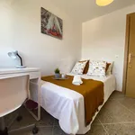 Alquilar 4 dormitorio apartamento en Valencia