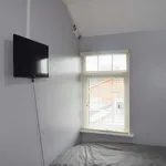 Rent a room in dublin