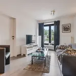 Rent 1 bedroom apartment in Berlare