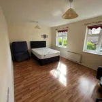 Rent 4 bedroom house in North East England