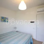 Rent 1 bedroom apartment of 35 m² in Ferentino