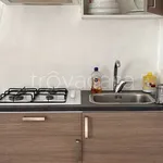 Rent 3 bedroom apartment of 63 m² in Urbino