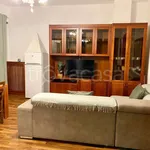 Rent 3 bedroom apartment of 90 m² in Torino