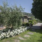 Rent 12 bedroom apartment of 450 m² in Cortona