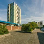 Rent 1 bedroom apartment of 45 m² in Neustadt an der Weinstraße