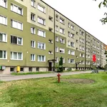 Rent 1 bedroom apartment of 27 m² in Poznan