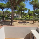 Rent 4 bedroom house of 170 m² in Cagliari