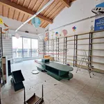 Rent 5 bedroom house of 180 m² in Viareggio