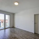 Rent 2 bedroom apartment of 51 m² in Pilsen